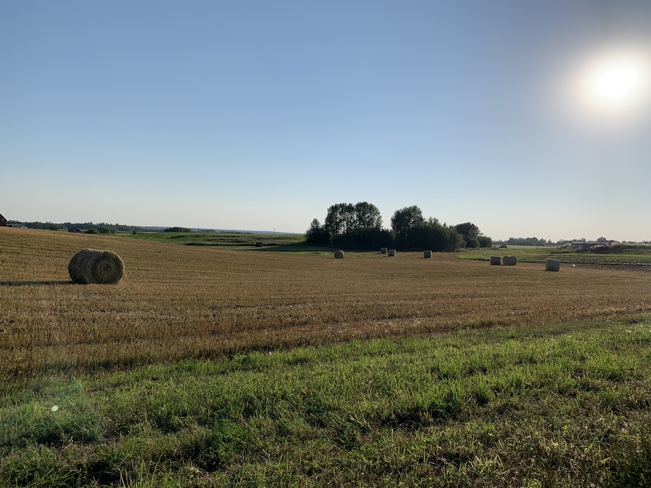 Strathcona Acreage