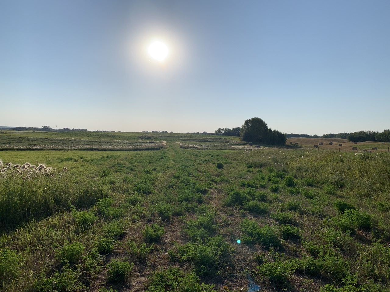 Sherwood Park Acreage