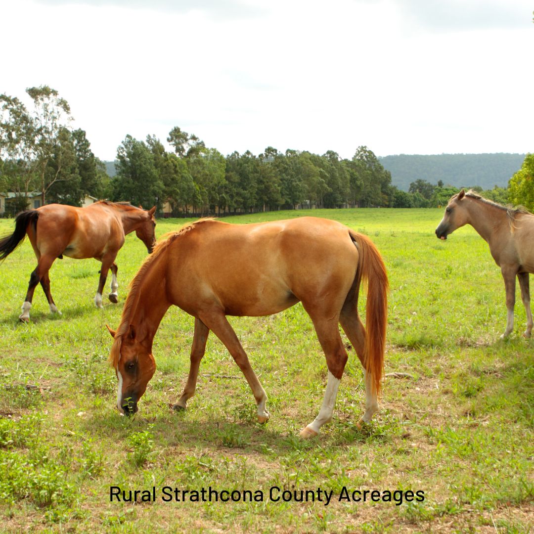 Strathcona County Acreages For Sale