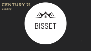 Bisset property value