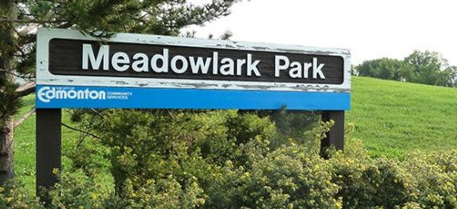 Meadowlark Park homes Edmonton Century 21 Leading Realtor Chris Reid
