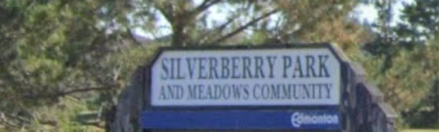Silver Berry Homes Edmonton Century 21 Leading Realtor Chris Reid