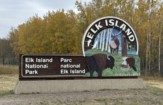 STRATHCONA COUNTY Acreages Chris Reid Century 21 Leading Realtor