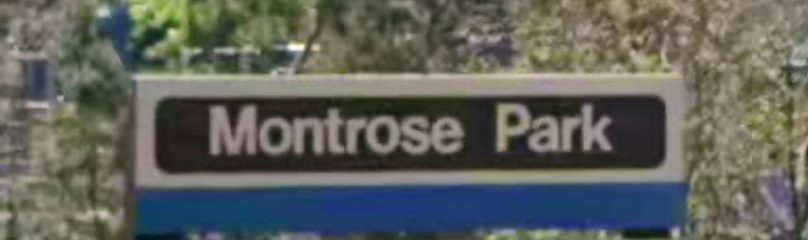 Montrose homes Edmonton Century 21 Leading