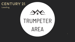 buying or selling homes in Trumpeter