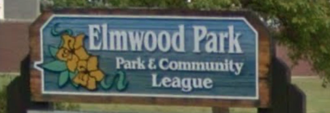 Elmwood Park Edmonton homes Century 21 Leading Realtor Chris Reid