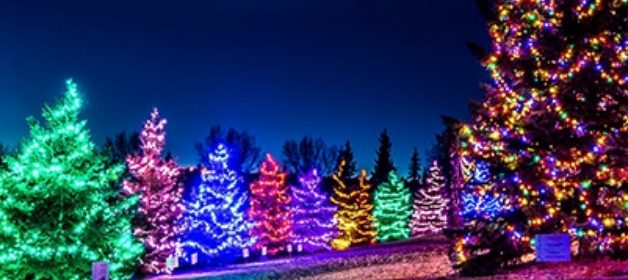 St. Albert Realtor Chris Reid Century 21 Leading